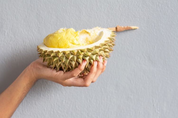 duren atau durian