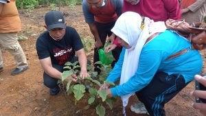 Warga Singaran Pati Manfaatkan Lahan Kosong Tanam Sayuran dan Buah-buahan