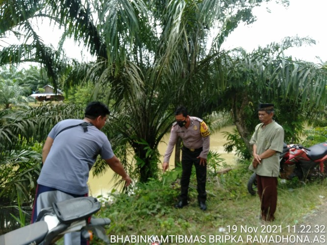 Petani Sawit Asal Ketahun Tewas Tersengat Aliran Listrik