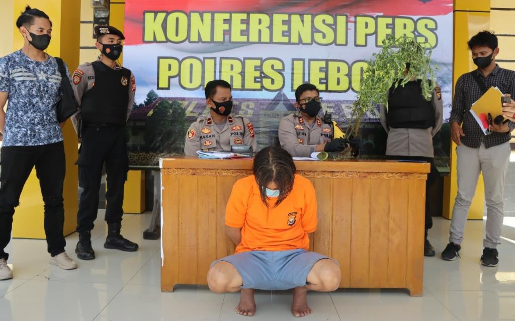 Miliki Ladang Ganja, Pelaku KDRT Dikenakan Pasal Berlapis
