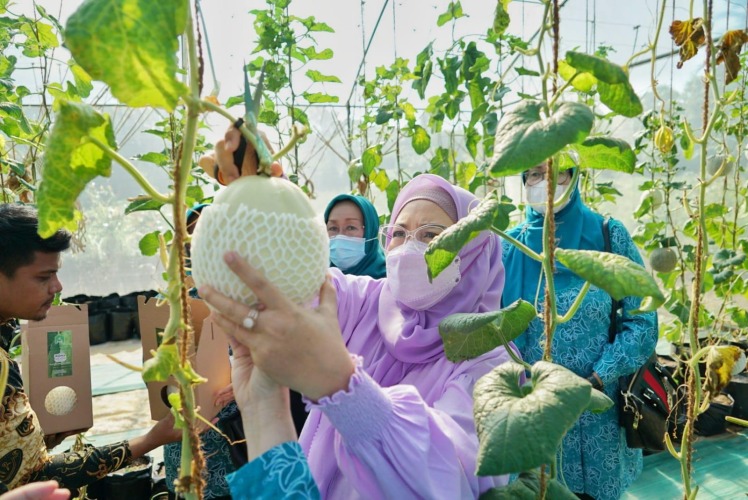 Ketua TP PKK Provinsi Bengkulu Derta Wahyulin, Foto: Dok
