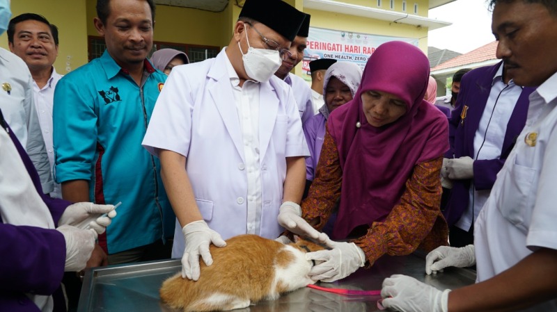 Gubernur Bengkulu Rohidin Mersyah (tengah) saat melakukan pengecekan terhadap hewan jenis kucing pada acara giat Vaksinasi Rabies di UPTD Laboratorium dan Klinik Kesehatan Hewan di Sawah Lebar, Kota Bengkulu, Rabu, 28 September 2022, Foto: Dok
