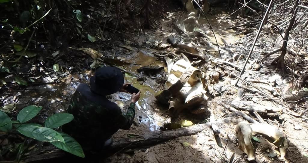 Tulang belulang Gajah Sumatera ditemukan di kawasan Bentang Alam Seblat, Rabu, 13 September 2022, Foto: Dok