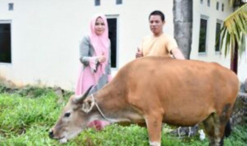 Kepala Bidang Penyelenggaraan Egovernment Herliani saat menyerahkan satu ekor sapi kepada perwakilan IKBKM Alias Sakbadi, Jumat, 30 Juni 2023, Foto: Dok